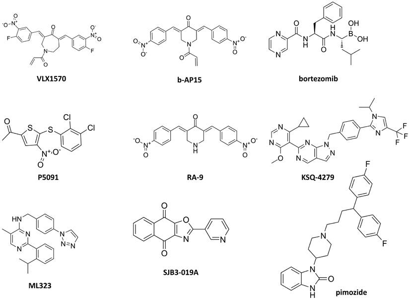 Int J Biol Sci Image