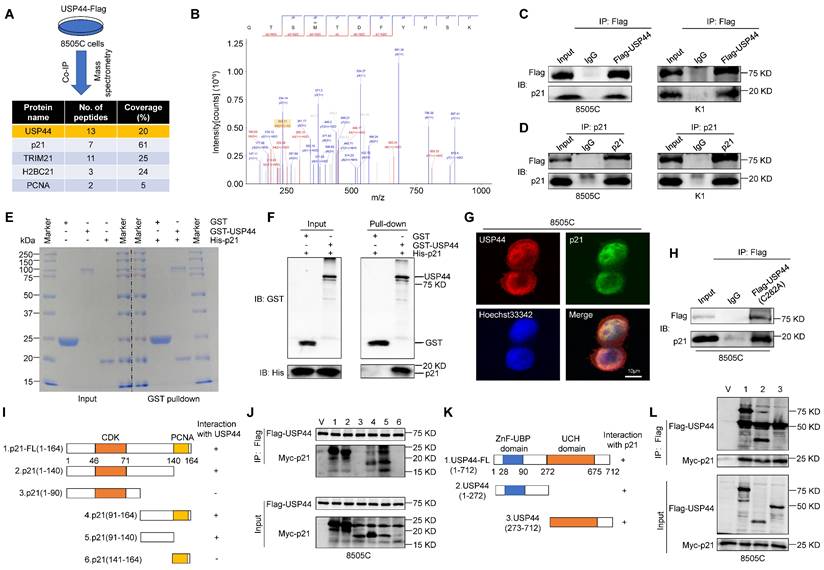 Int J Biol Sci Image