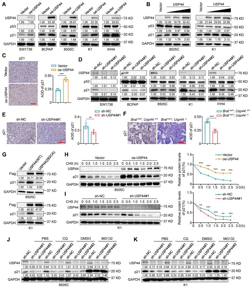 Int J Biol Sci Image