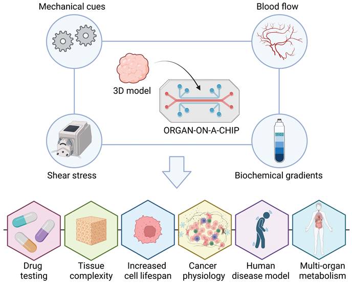 Int J Biol Sci Image