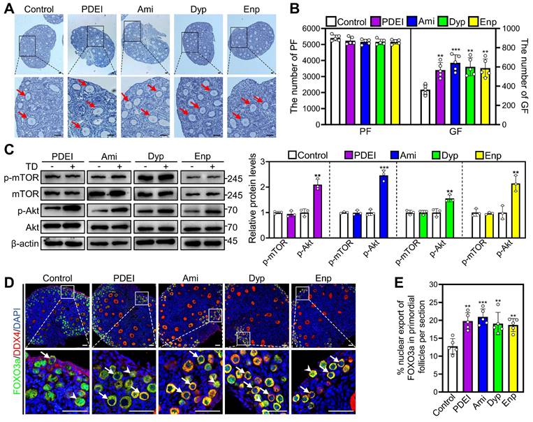 Int J Biol Sci Image