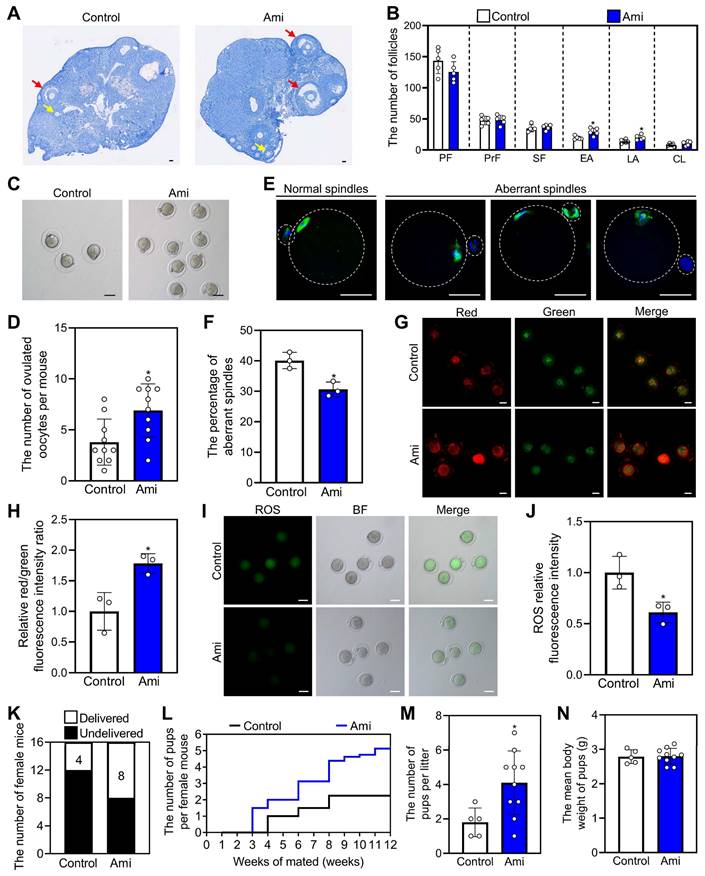 Int J Biol Sci Image