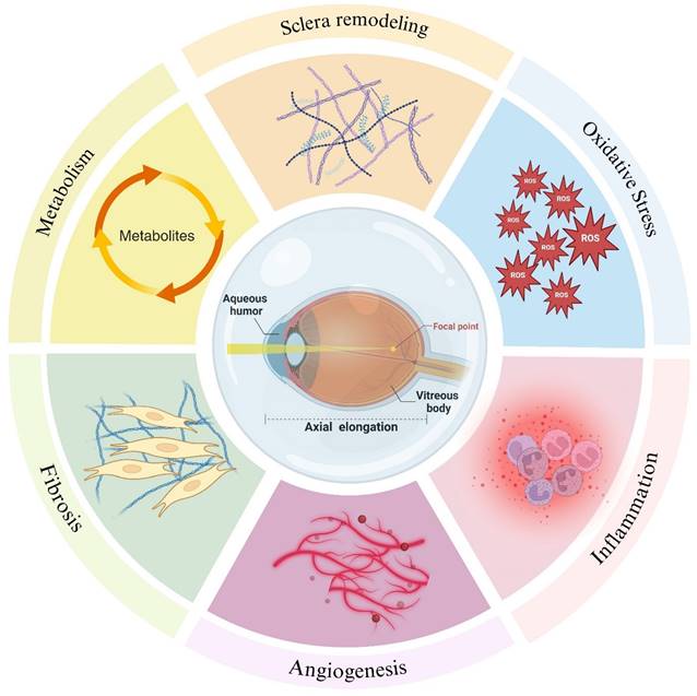 Int J Biol Sci Image