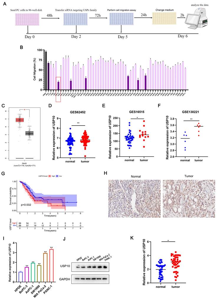 Int J Biol Sci Image