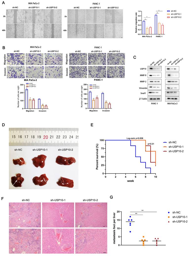 Int J Biol Sci Image