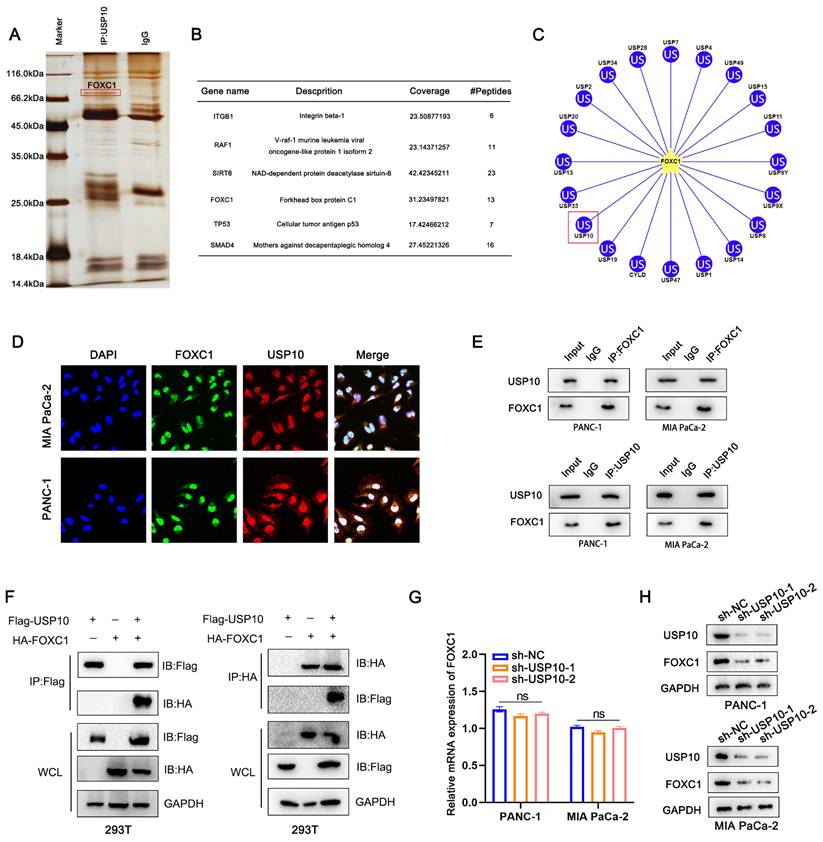 Int J Biol Sci Image