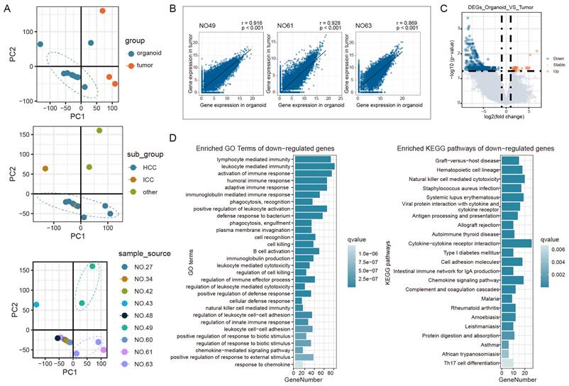 Int J Biol Sci Image