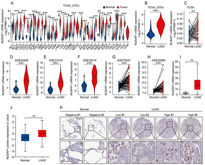 Int J Biol Sci Image