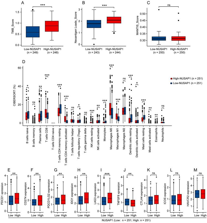 Int J Biol Sci Image