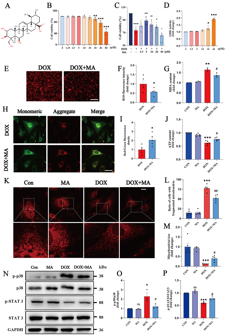 Int J Biol Sci Image