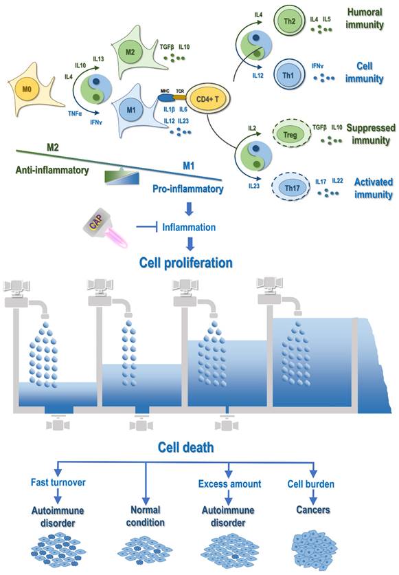 Int J Biol Sci Image