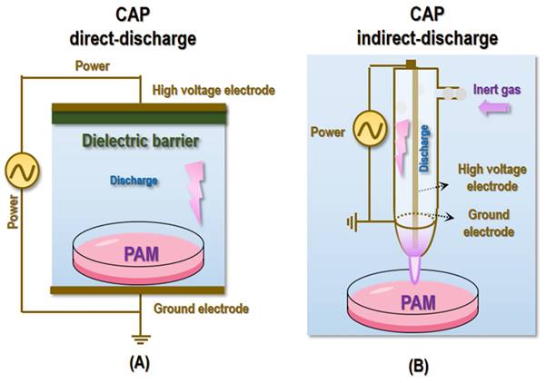 Int J Biol Sci Image