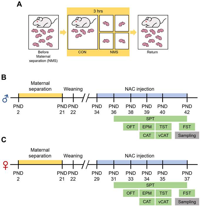 Int J Biol Sci Image