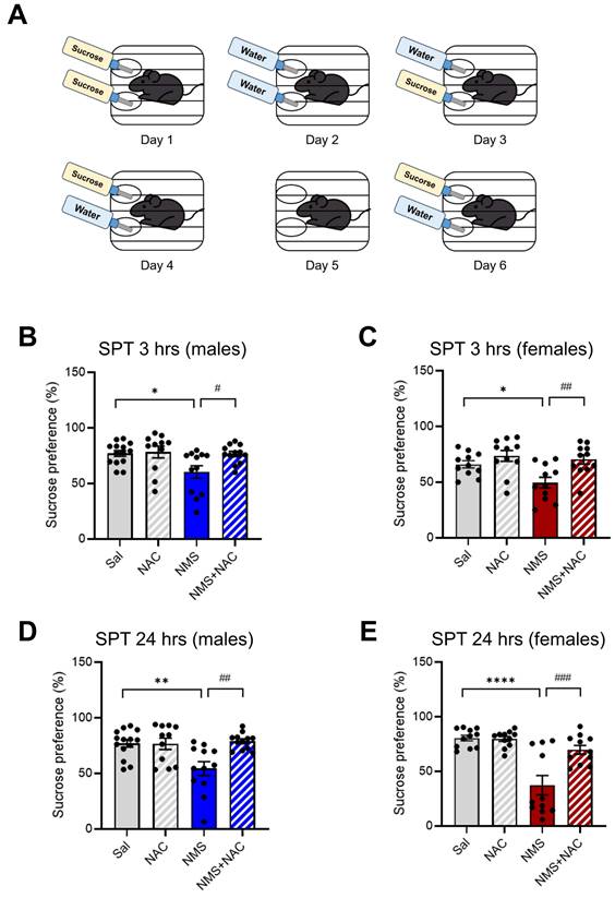 Int J Biol Sci Image