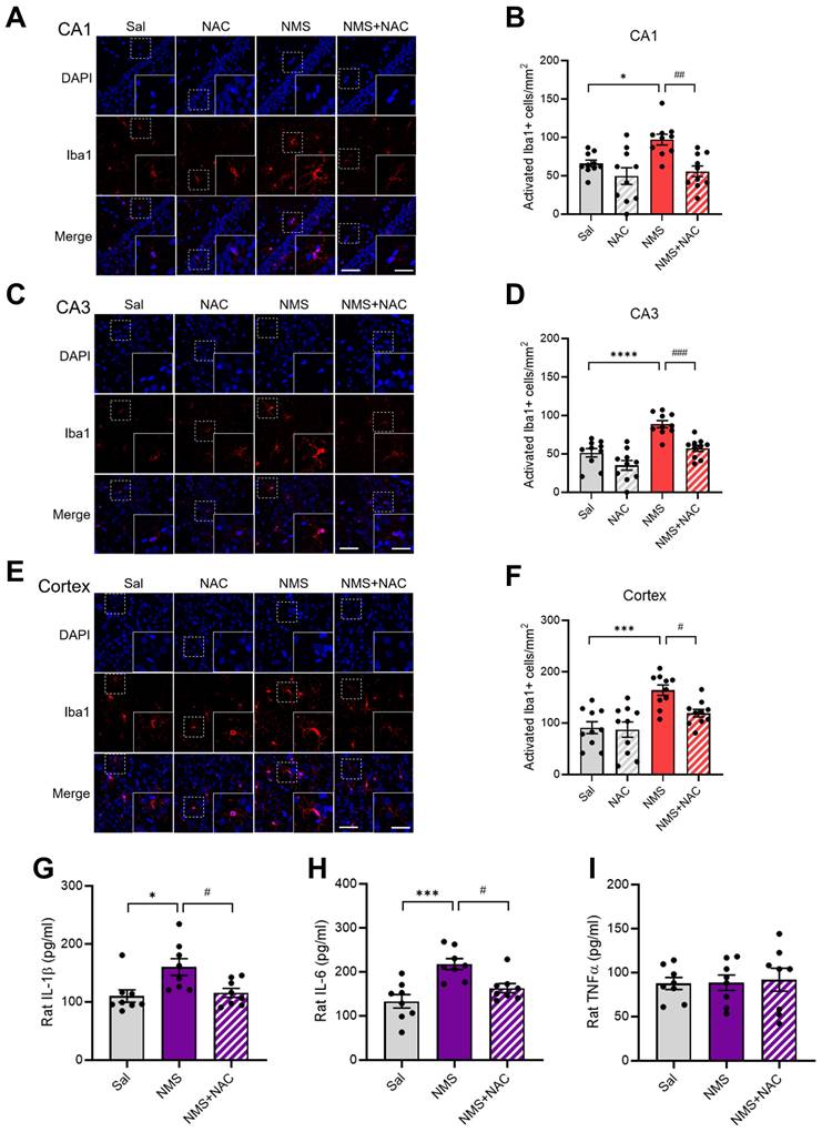 Int J Biol Sci Image