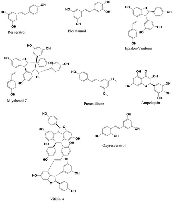 Int J Biol Sci Image