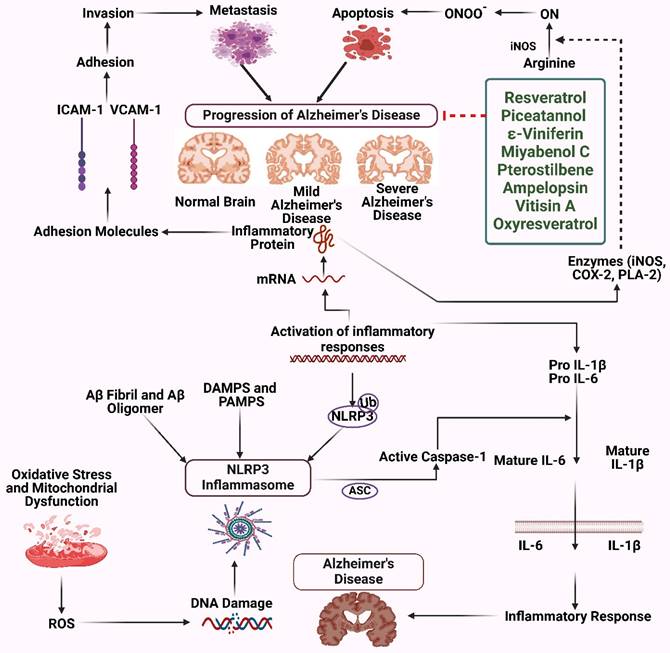 Int J Biol Sci Image