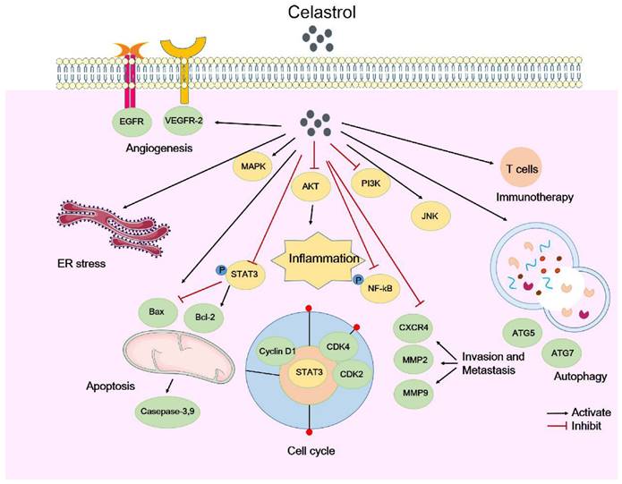 Int J Biol Sci Image