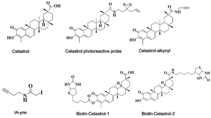 Int J Biol Sci Image