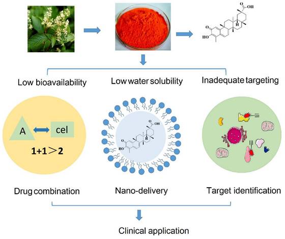 Int J Biol Sci Image