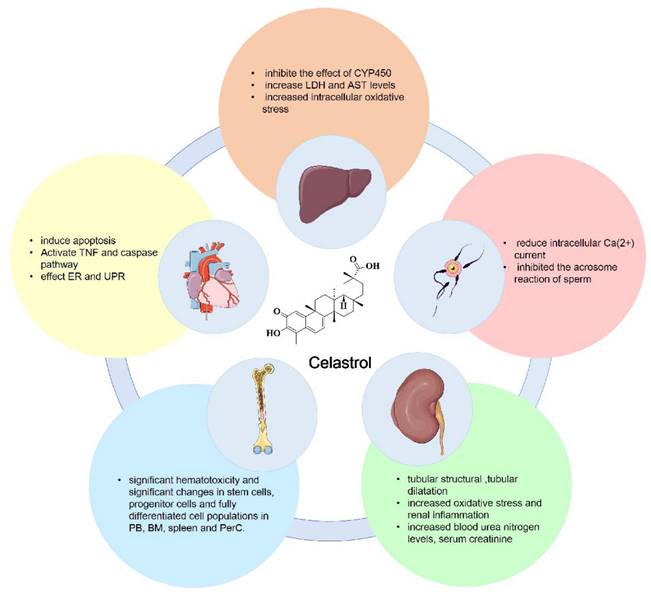 Int J Biol Sci Image