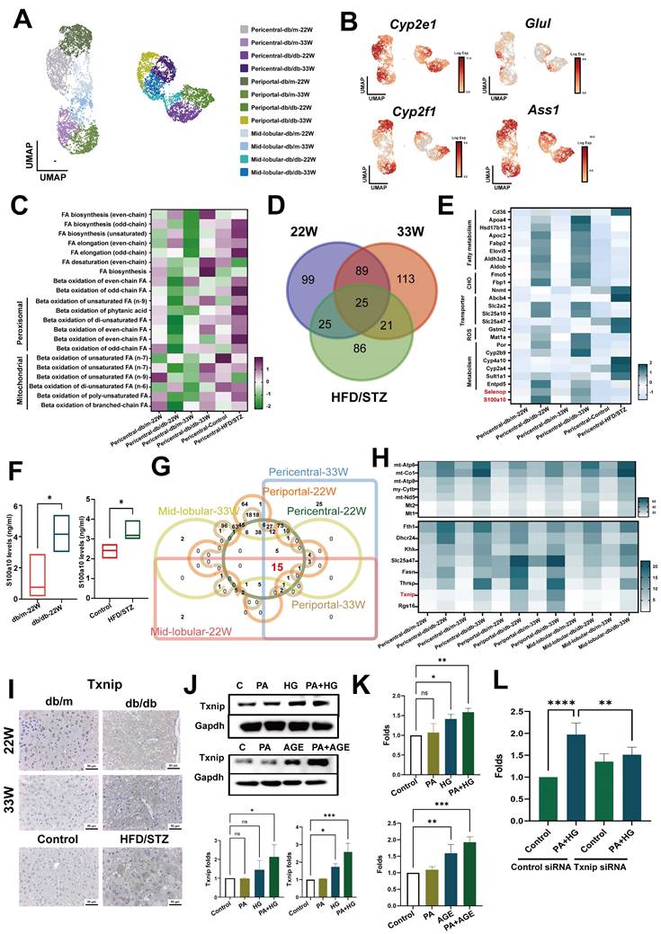 Int J Biol Sci Image