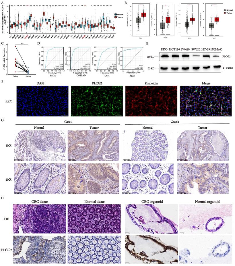 Int J Biol Sci Image