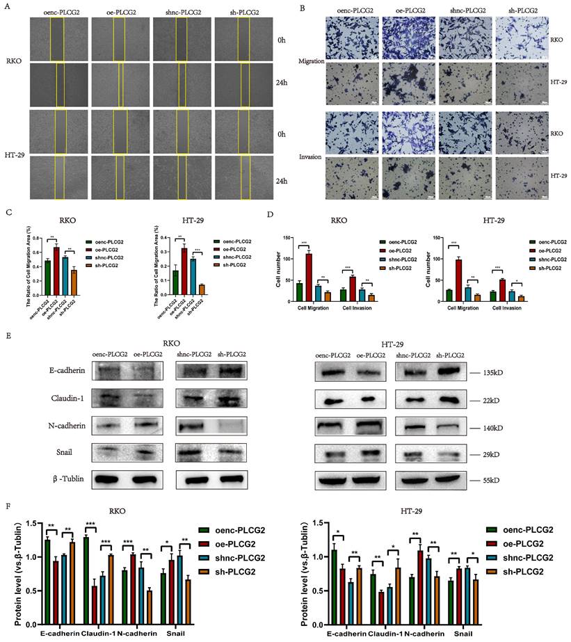 Int J Biol Sci Image