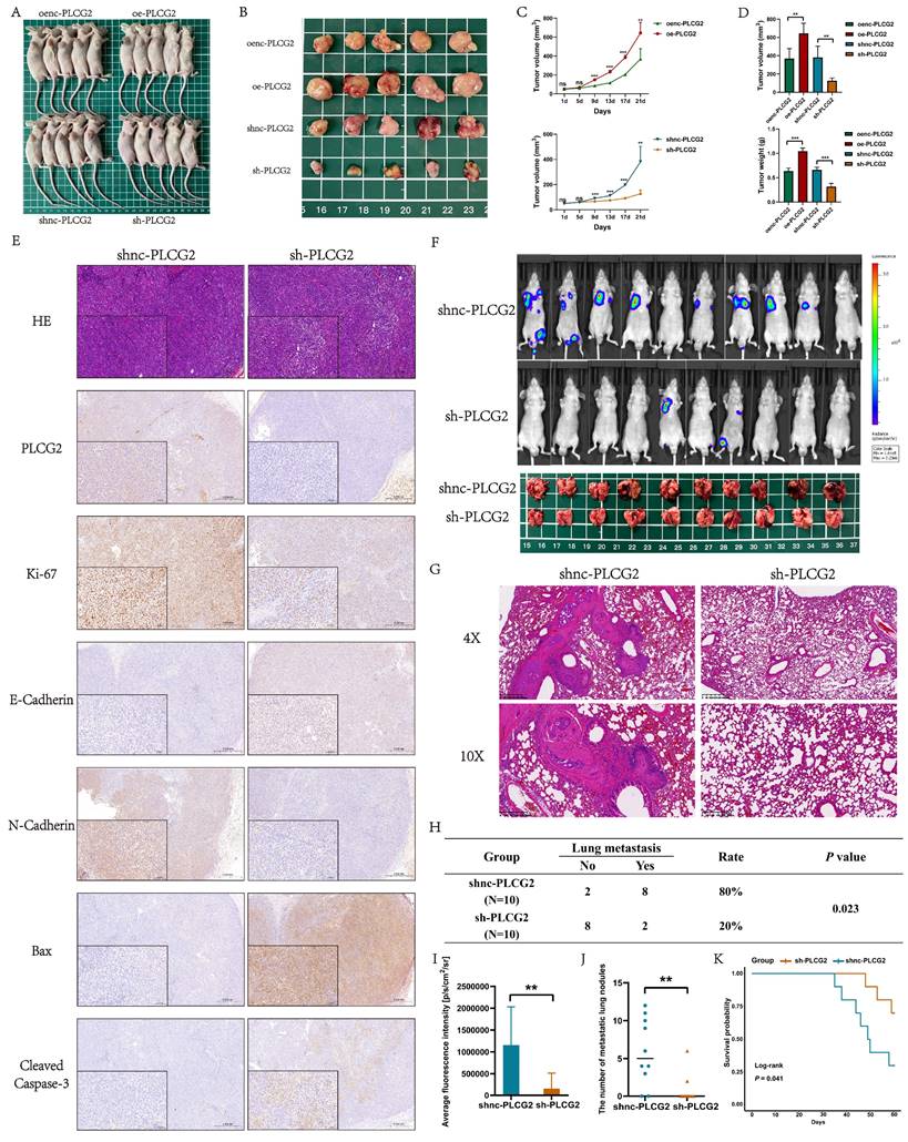 Int J Biol Sci Image