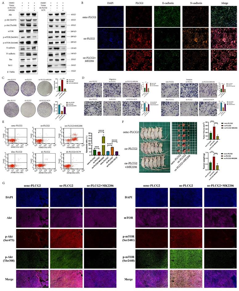 Int J Biol Sci Image