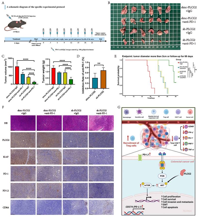 Int J Biol Sci Image