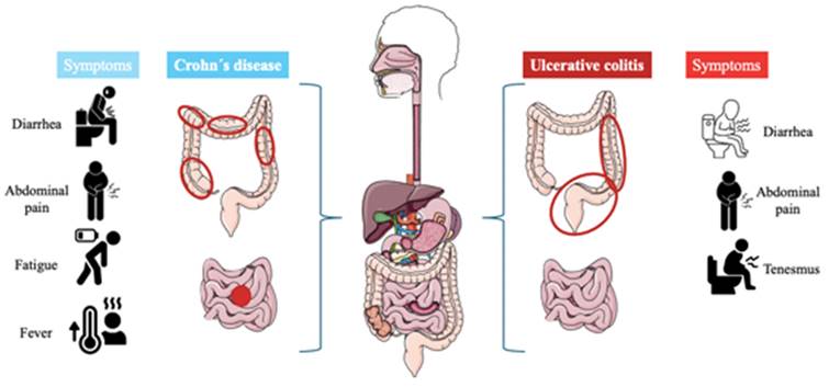 Int J Biol Sci Image