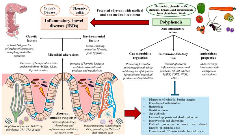 Int J Biol Sci Image