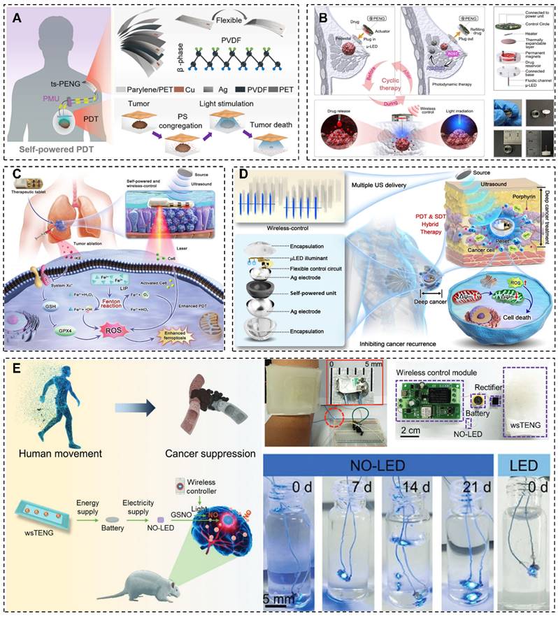 Int J Biol Sci Image