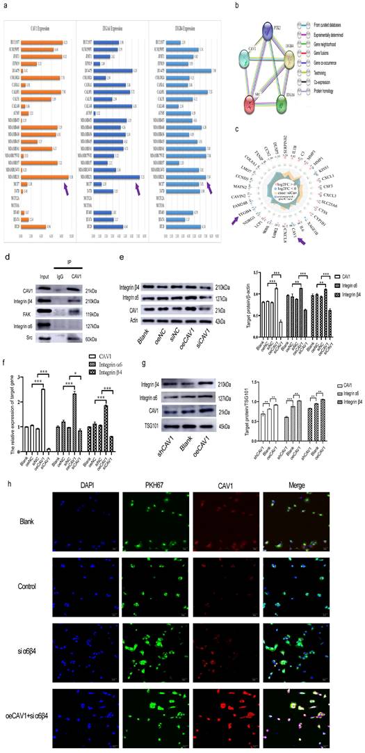 Int J Biol Sci Image