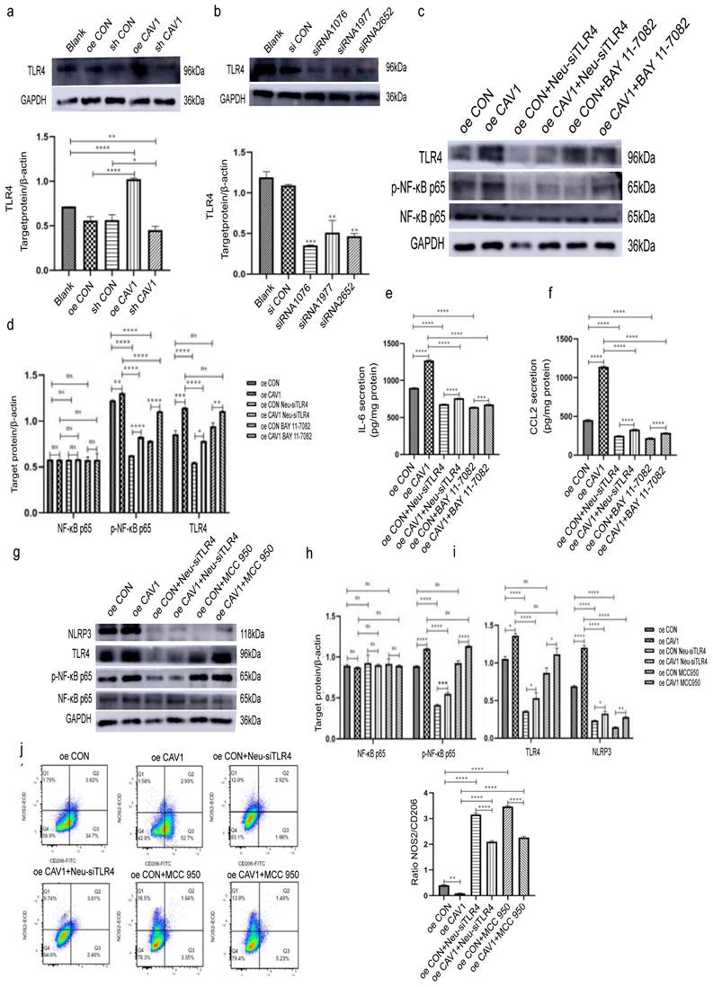 Int J Biol Sci Image