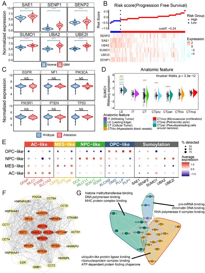 Int J Biol Sci Image