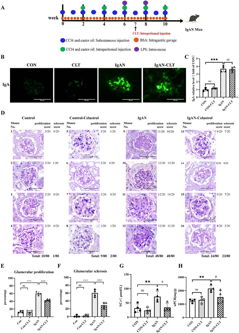 Int J Biol Sci Image