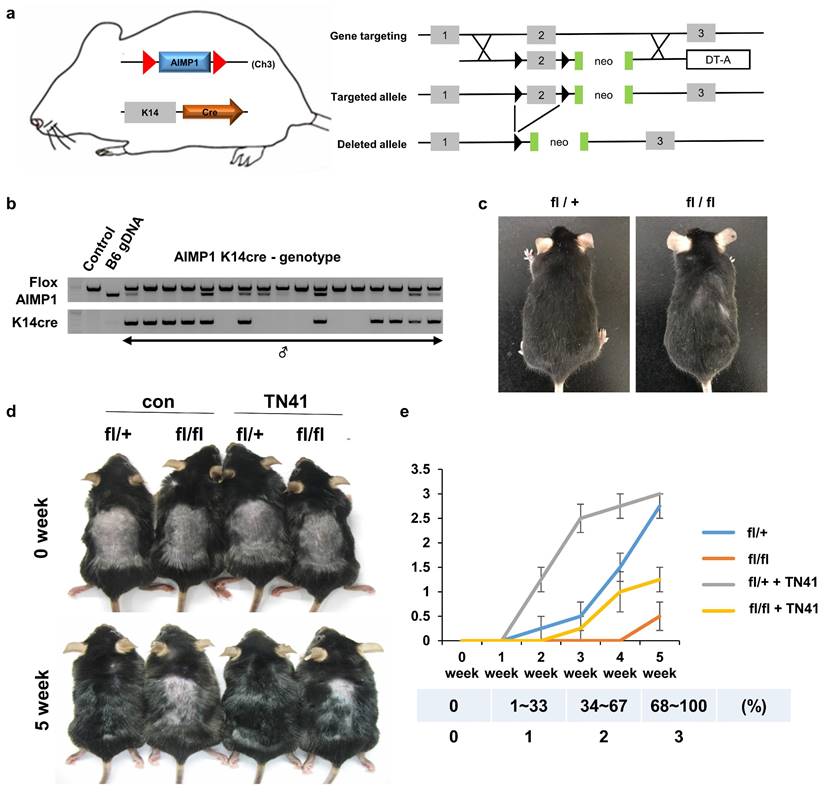 Int J Biol Sci Image