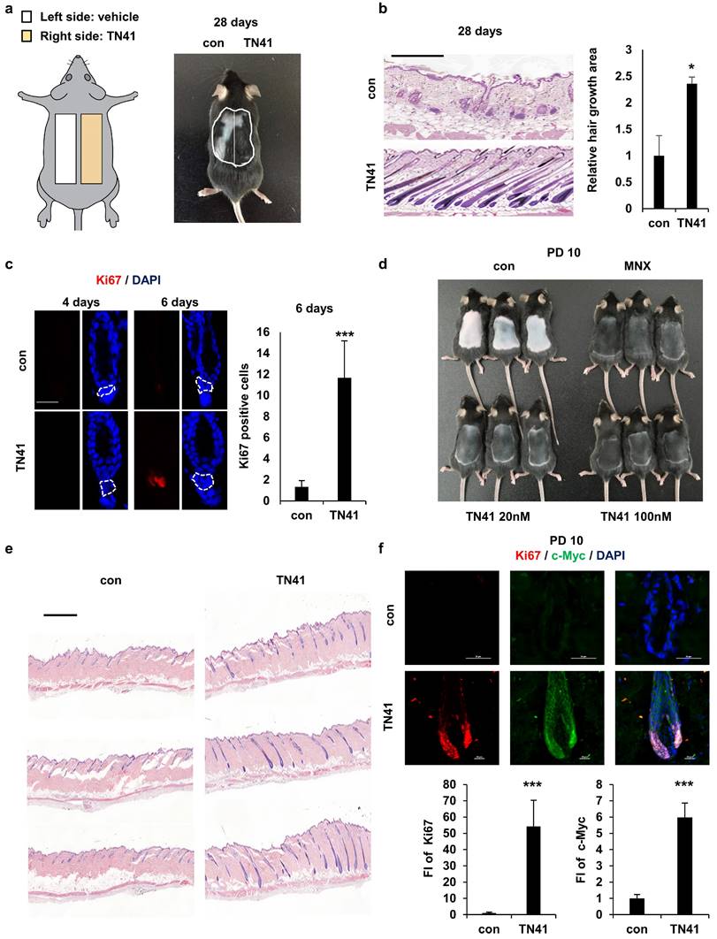 Int J Biol Sci Image