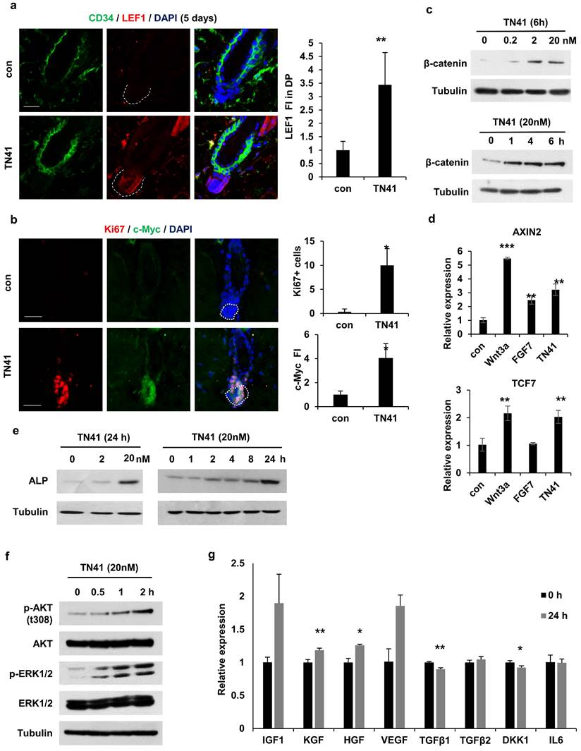 Int J Biol Sci Image