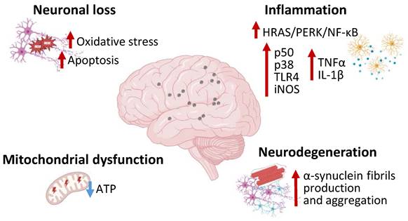 Int J Biol Sci Image