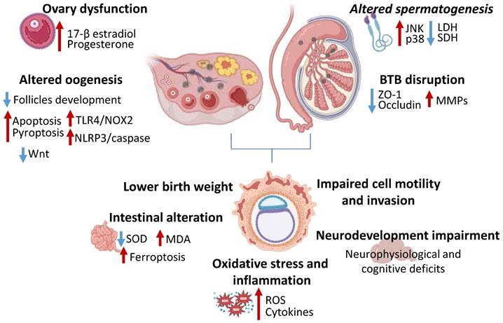 Int J Biol Sci Image