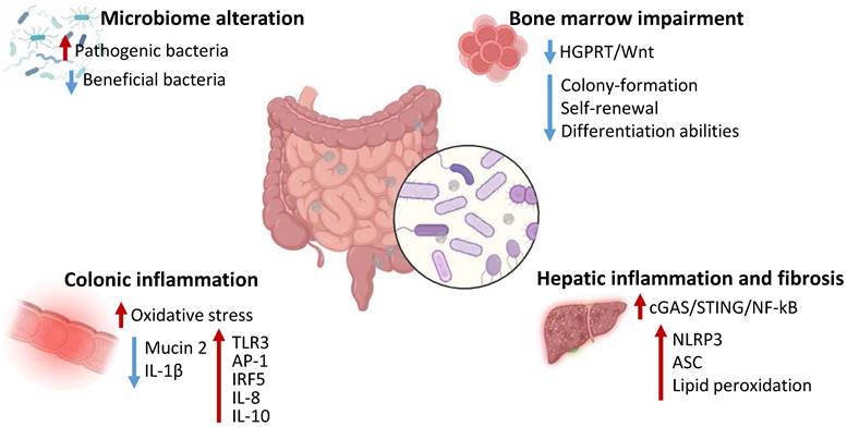 Int J Biol Sci Image