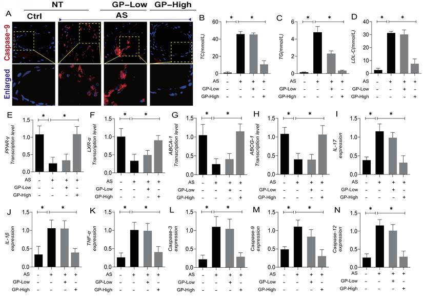 Int J Biol Sci Image