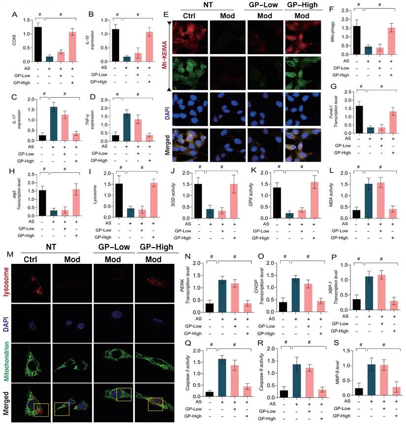 Int J Biol Sci Image