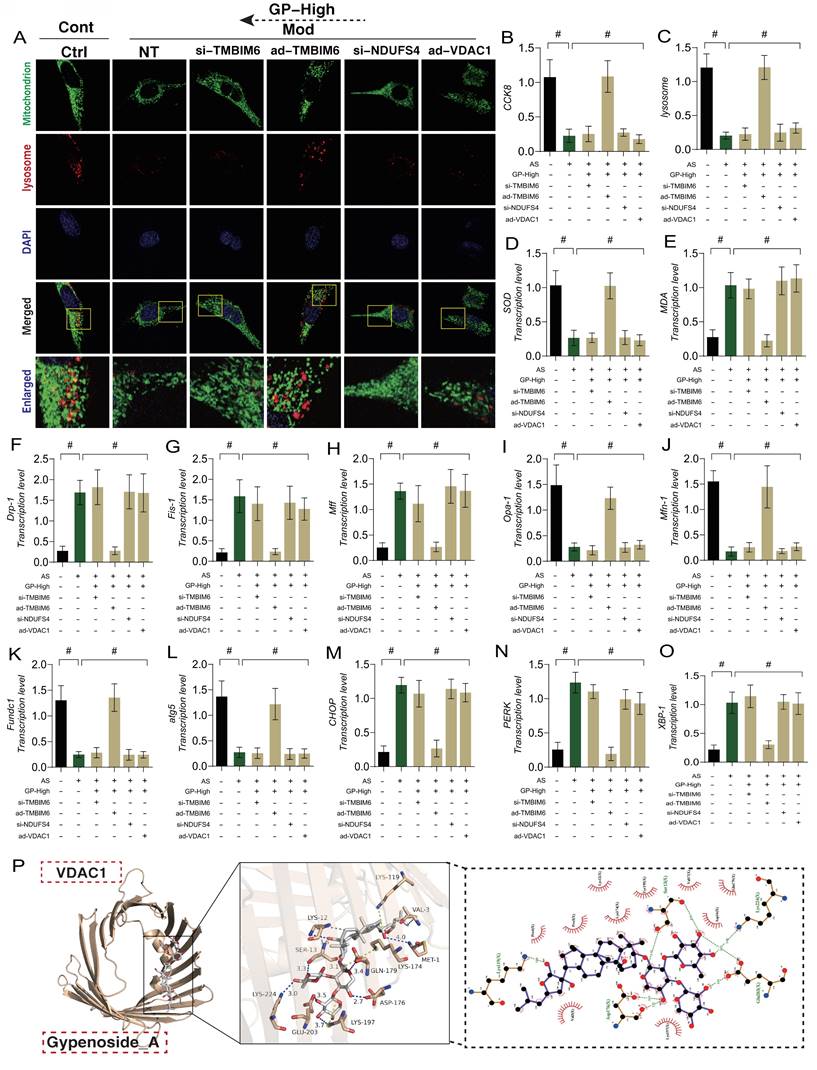 Int J Biol Sci Image