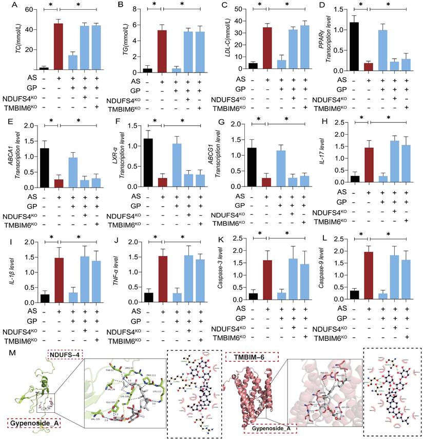 Int J Biol Sci Image