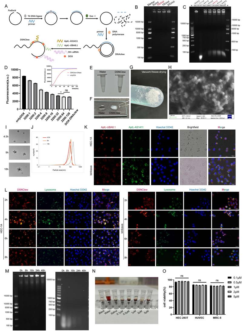 Int J Biol Sci Image