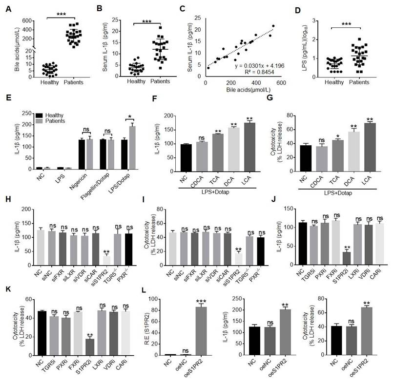 Int J Biol Sci Image